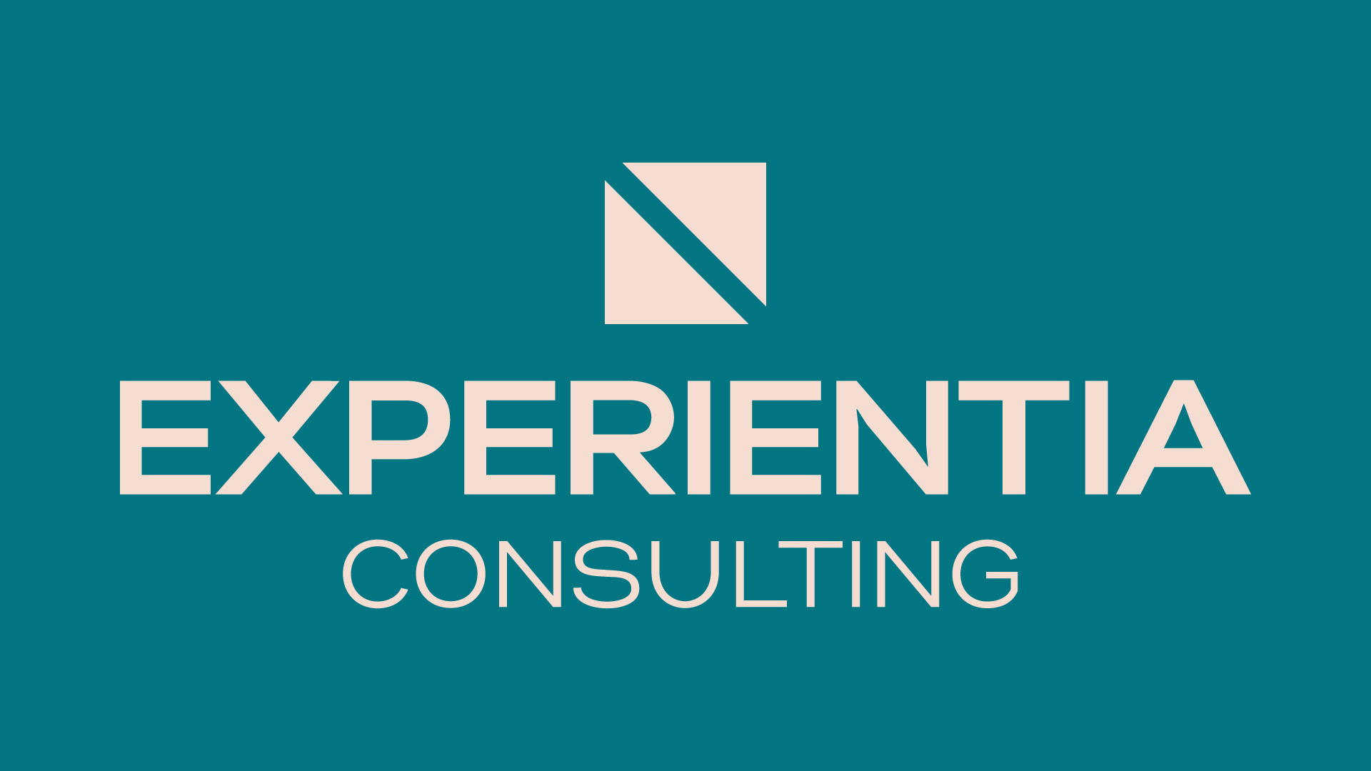 Experientia Consulting - Retail and hospitality sectors.